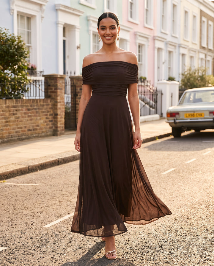 Brown Off Shoulder Mesh Maxi Dress